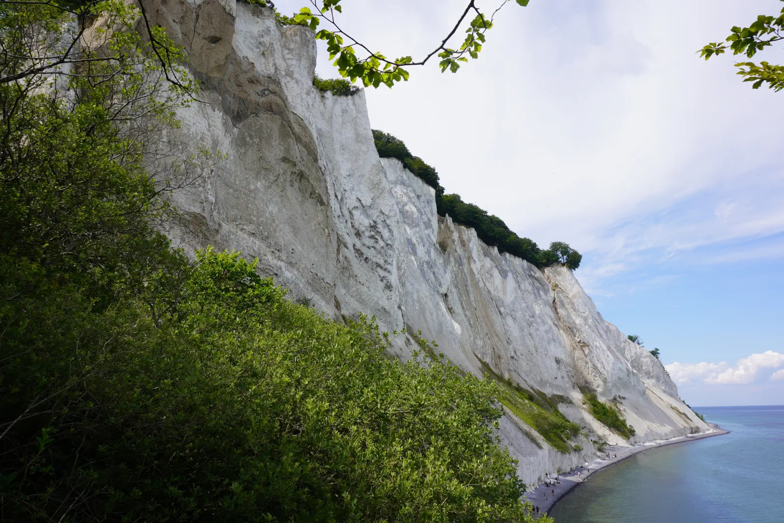 Les falaises de craie de Møns Klint sur l'île de Møn.